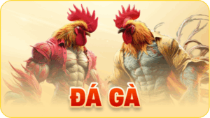 Trò chơi đá gà